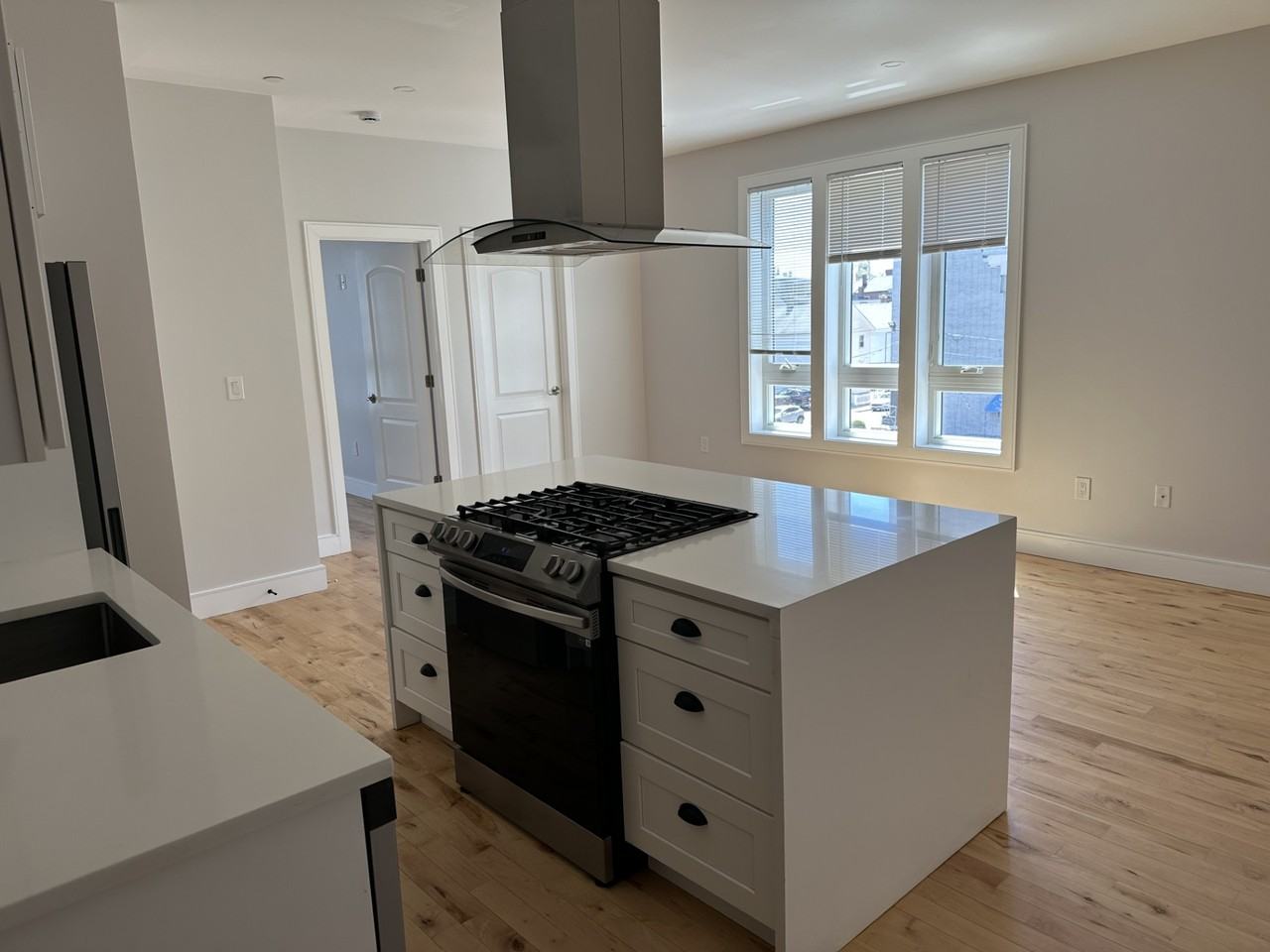 178 Washington Ave #102 - Photo 4 of 5