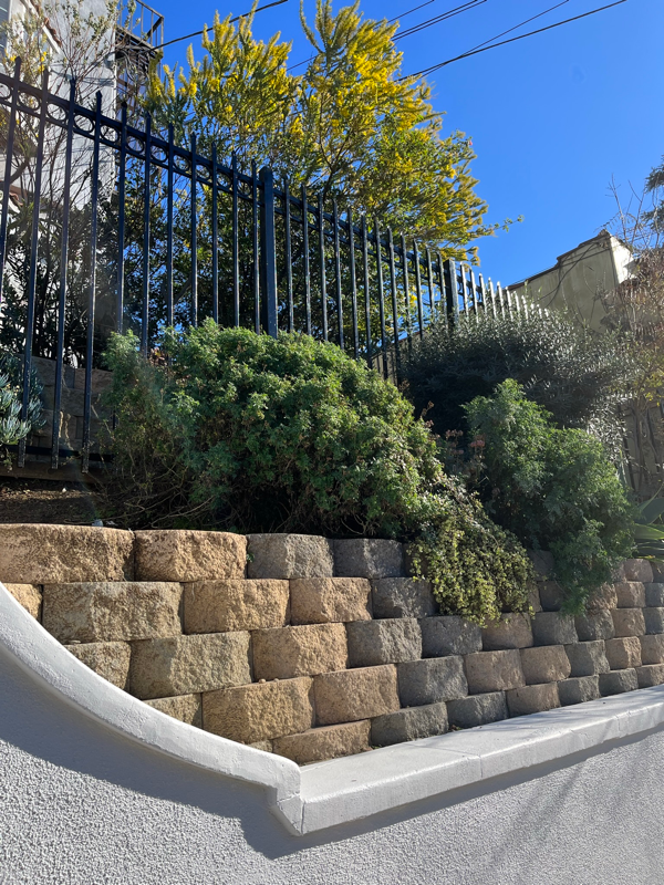 1072 Laguna Ave - Photo 5 of 33
