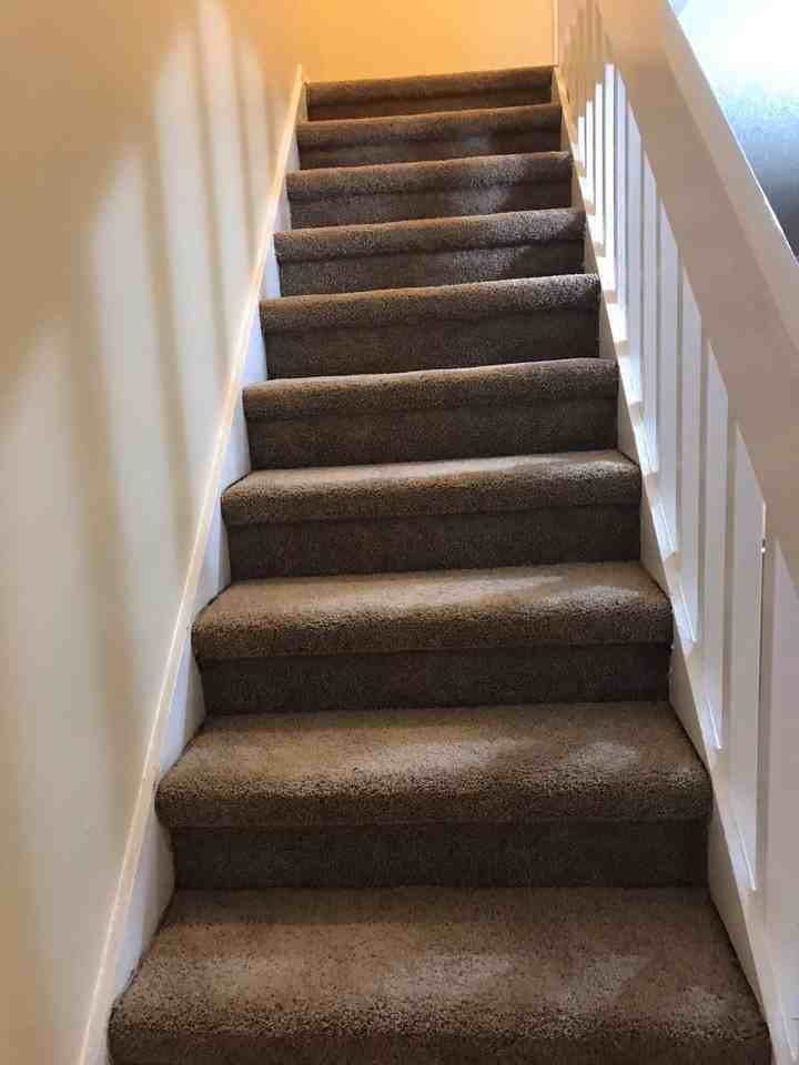 5036 Downing St #1 - Photo 7 of 16