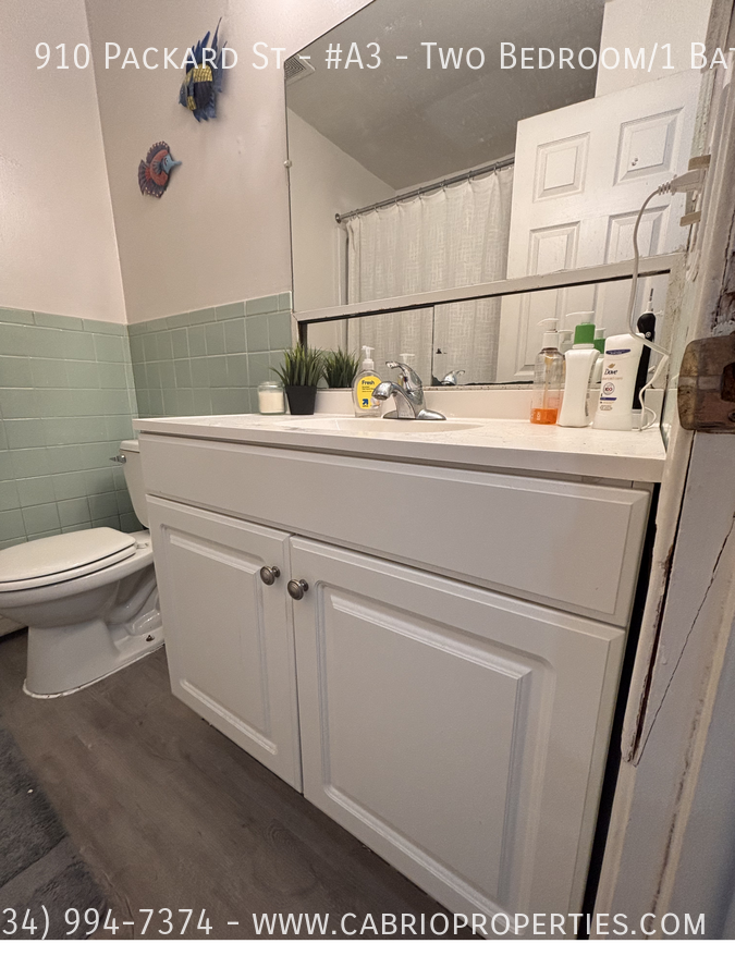 910 Packard St. - Photo 3 of 16