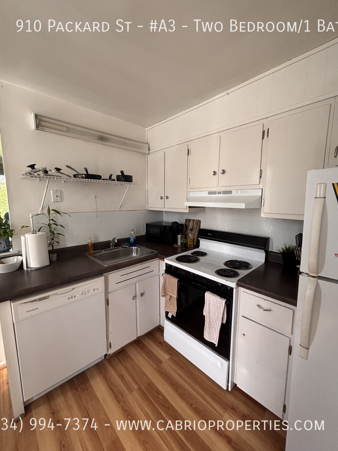 910 Packard St. - Photo 4 of 16