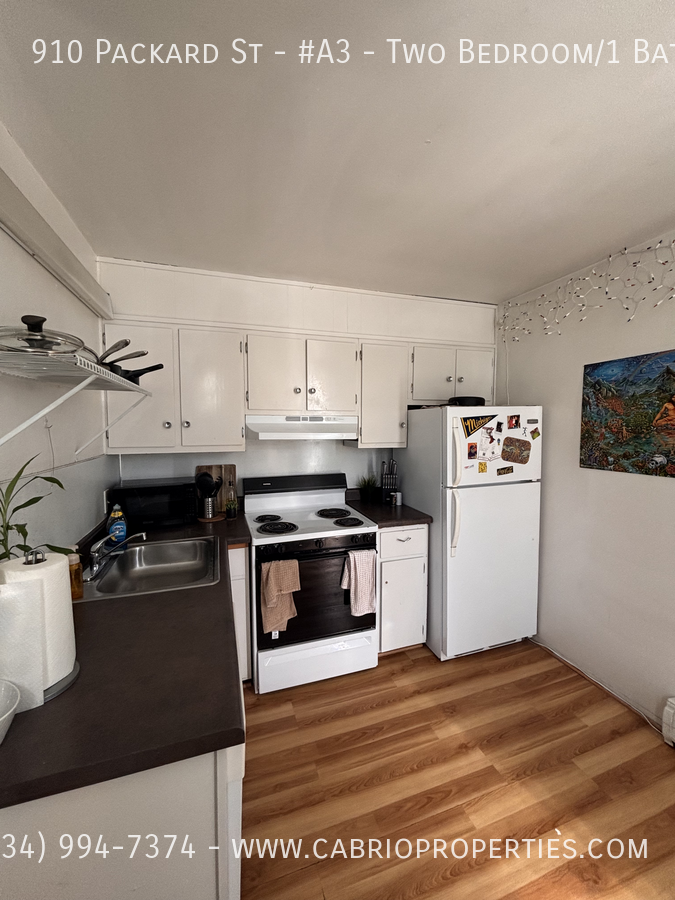 910 Packard St. - Photo 5 of 16