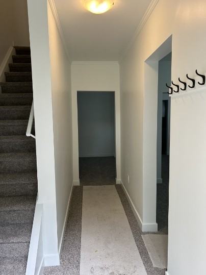 SF217 | 1 Month Free – 2 Bedroom Basement Suite – North Edmonton - Photo 2 of 14