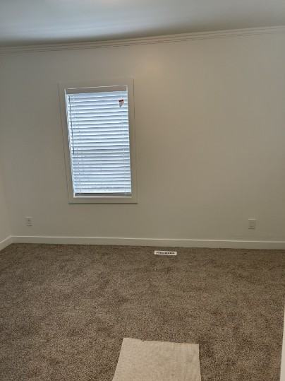 SF217 | 1 Month Free – 2 Bedroom Basement Suite – North Edmonton - Photo 5 of 14