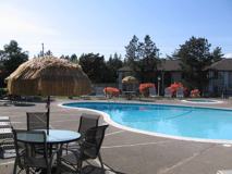 600 Black Lake Blvd Sw - Photo 1 of 1