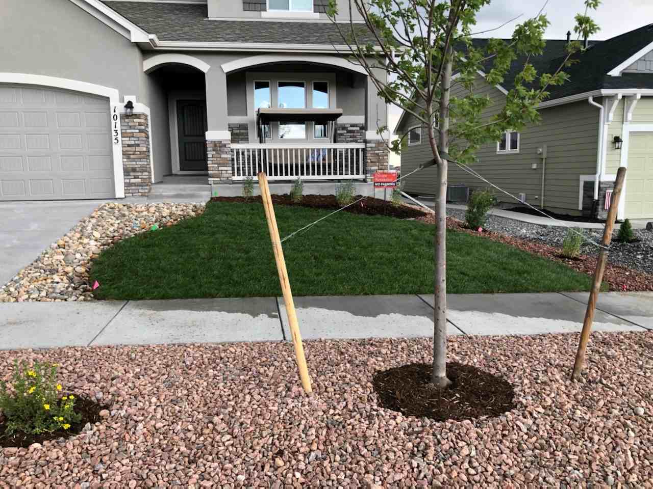 10135 Thrive Ln - Photo 3 of 23