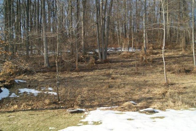 157 Madison Way #1 - Photo 6 of 14