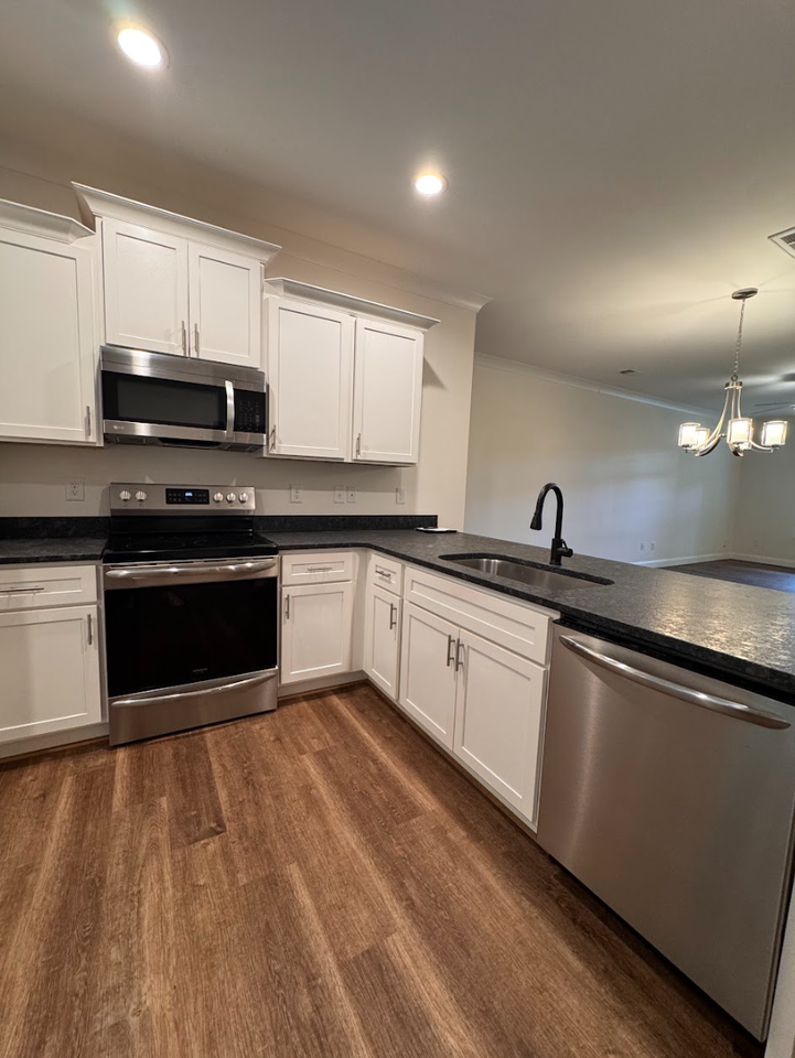 313 Clarus Creek Way - Photo 5 of 17