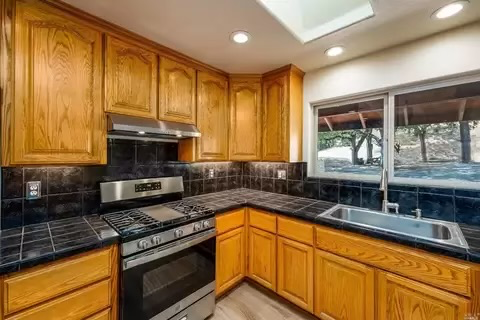 8670 Feliz Creek Dr - Photo 6 of 20