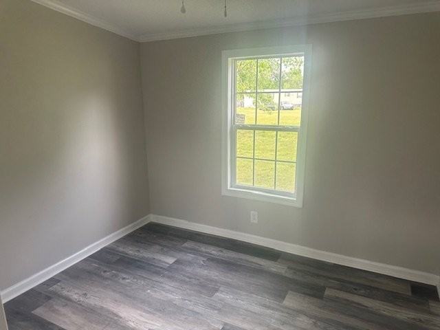 1410 Elias Ln - Photo 4 of 9