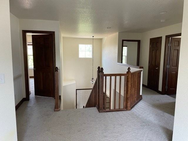 1011 Eichhorn Dr - Photo 7 of 20