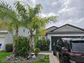14464 English Lavender Dr - Photo 1 of 1