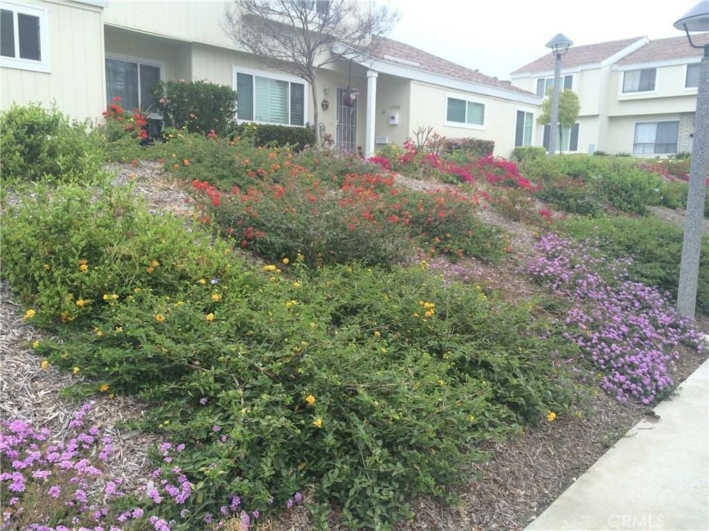 1063 Canyon Spring Ln - Photo 2 of 25