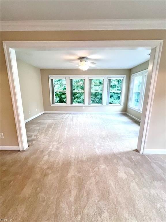 913 Turtle Pond Ln - Photo 6 of 36