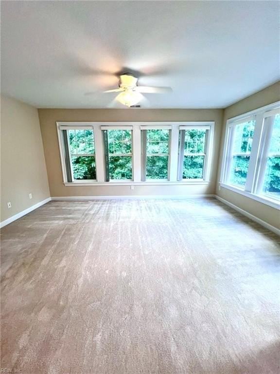913 Turtle Pond Ln - Photo 7 of 36