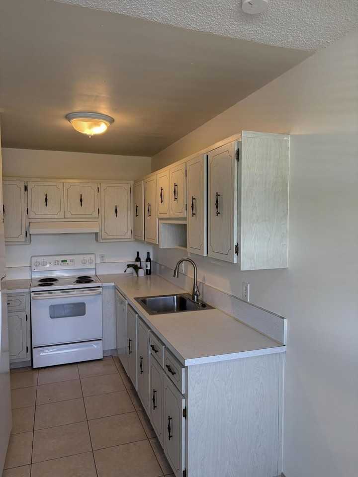 2520 Black Olive Blvd #203 - Photo 5 of 15