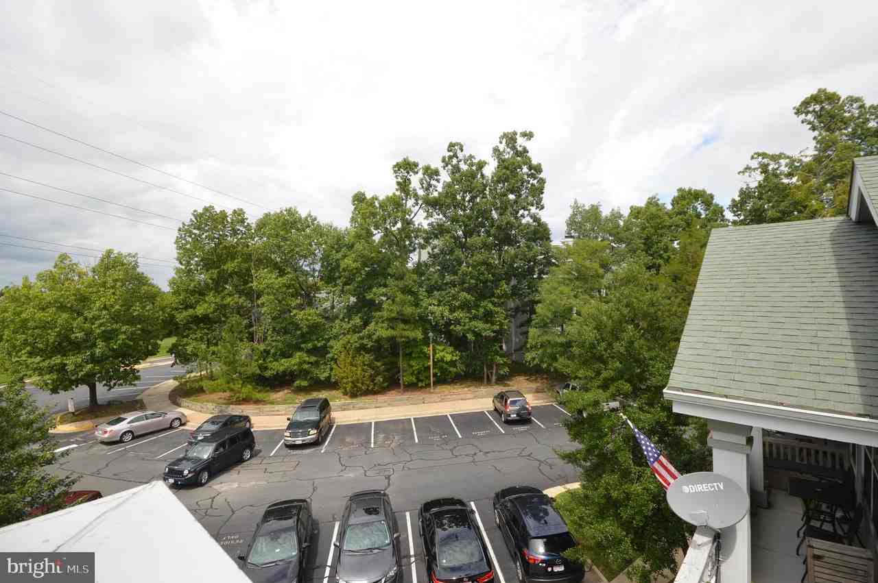 13058 Autumn Woods Way ##301 - Photo 5 of 25