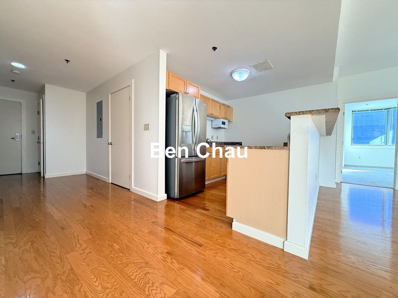 234 Causeway St #723 - Photo 3 of 18