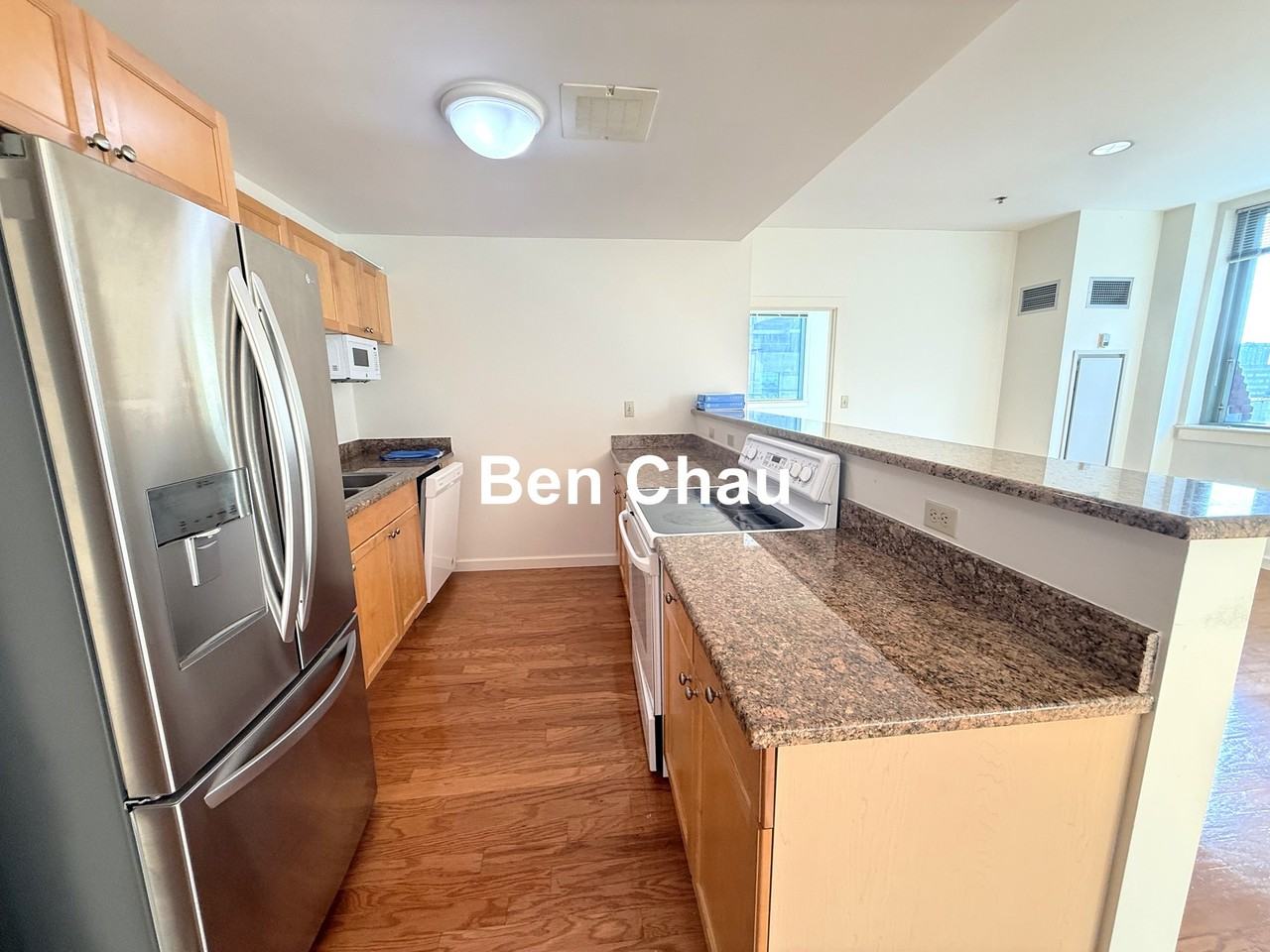 234 Causeway St #723 - Photo 4 of 18