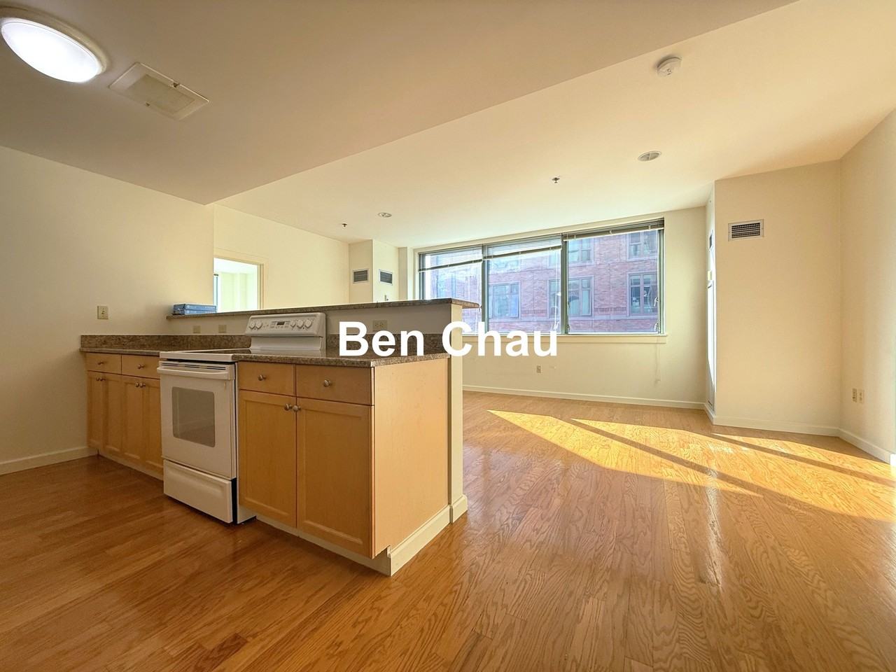 234 Causeway St #723 - Photo 5 of 18
