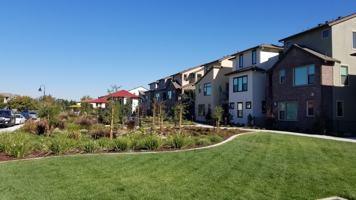 featured image of 316 Sungold Way #NA
