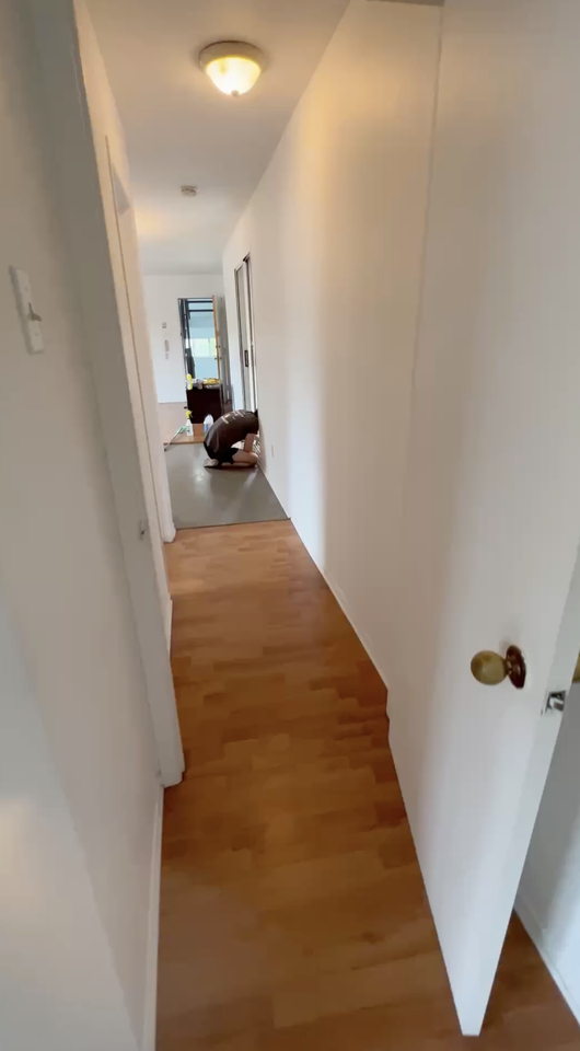 2505 Avenue Letourneux #1 - Photo 5 of 10