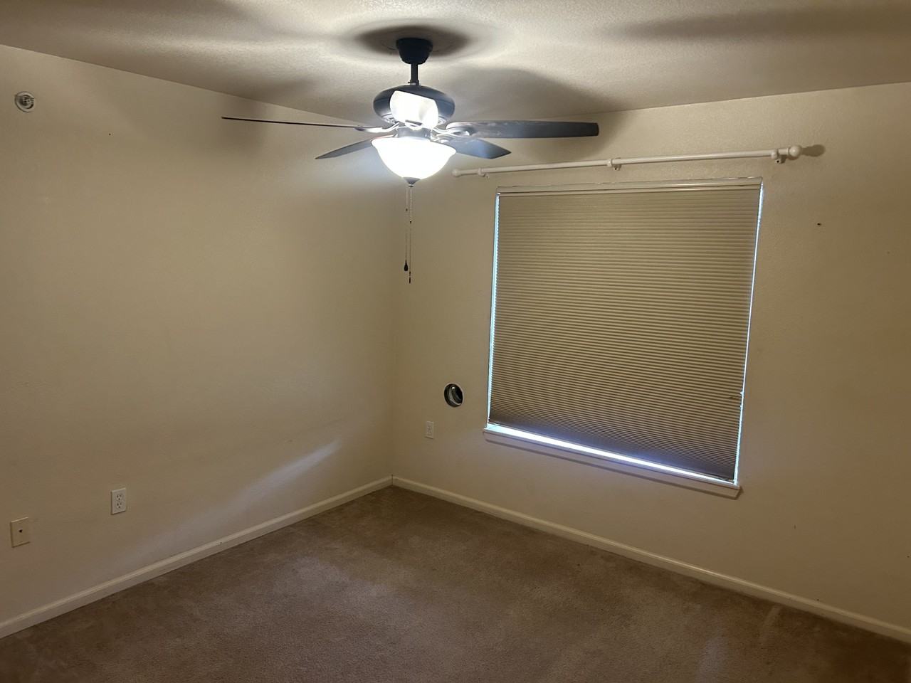 127 Jules Dr #1 - Photo 4 of 20