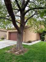 featured image of 2520 Roman Dr