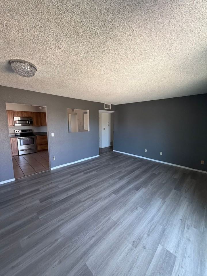 1191 Palo Verde Dr - Photo 4 of 18