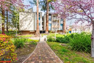 49 Showers Dr Apt W313 #W313 - Photo 1 of 1