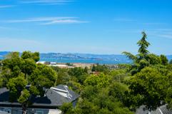 CorteMadera231 - Photo 1 of 1