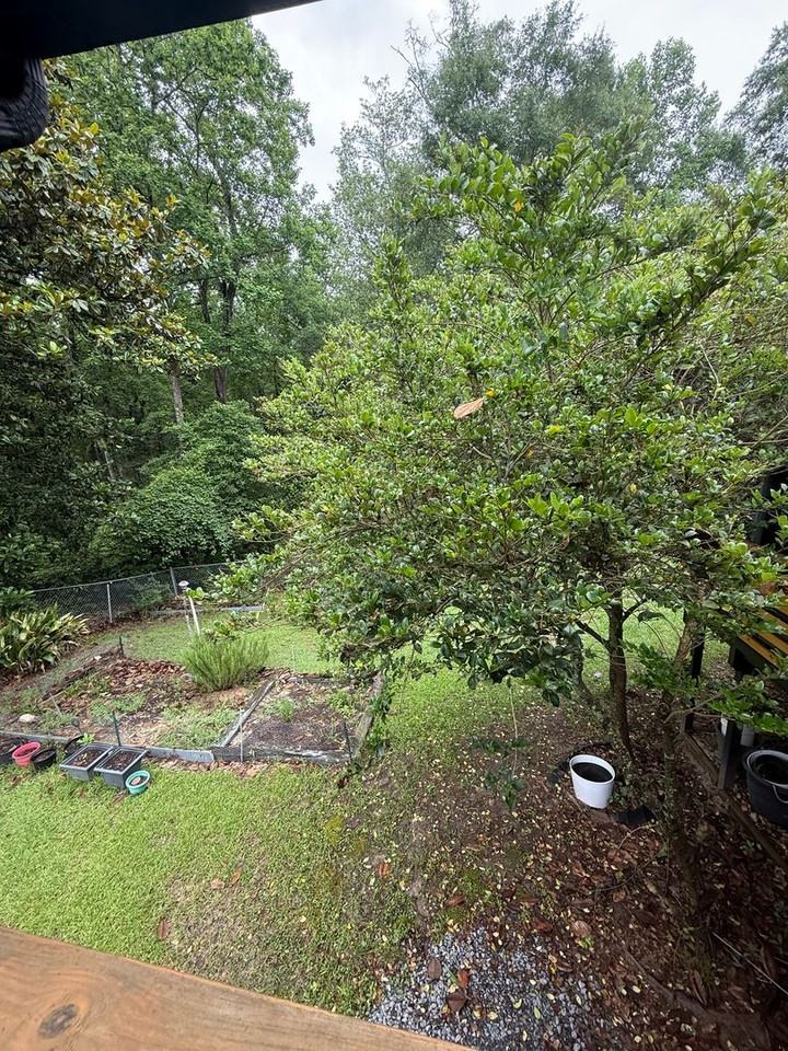 108 Liveoak Dr - Photo 4 of 34