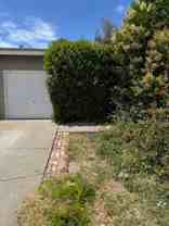 3818 Harbor St - Photo 1 of 1