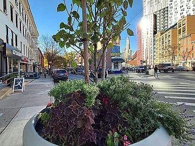237 Flatbush Ave - Photo 7 of 20
