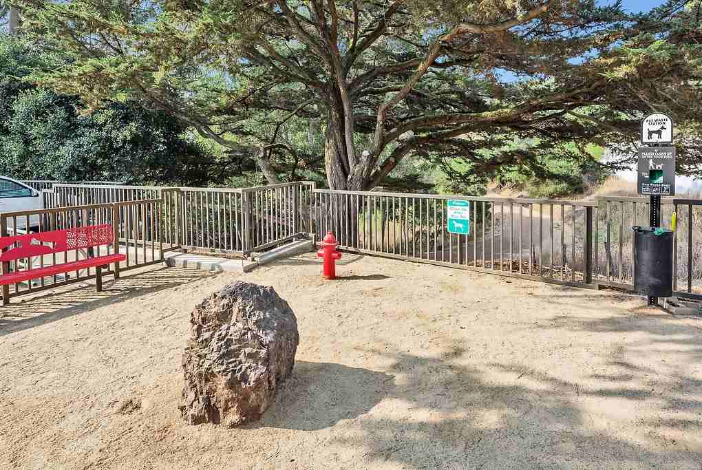 Belmont Terrace - Photo 5 of 39