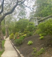 featured image of 109 Wallis Rd #NA