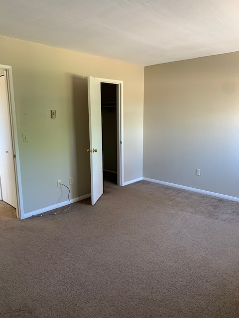 7804 Camino Tranquilo - Photo 7 of 20