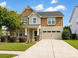 featured image of 2025 Fuschia Ct