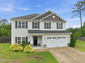 317 Little Egret Ln - Photo 1 of 1