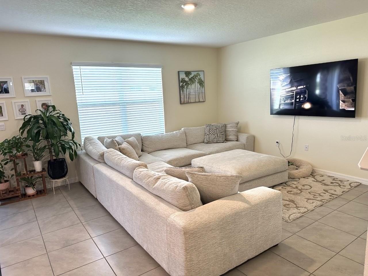 34106 Sorrel Mint Dr - Photo 3 of 20