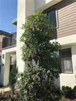 218 Terrapin - Photo 1 of 1