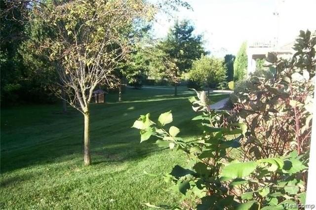 34558 Northrup Dr - Photo 3 of 15