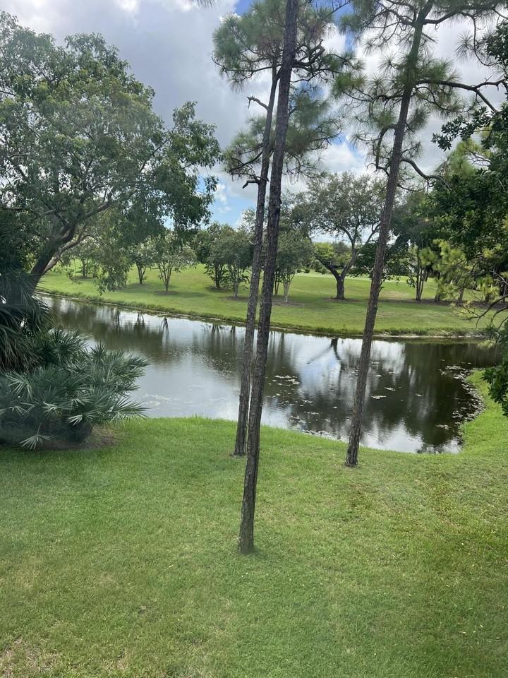 1408 Palm Beach Trace Dr - Photo 2 of 18