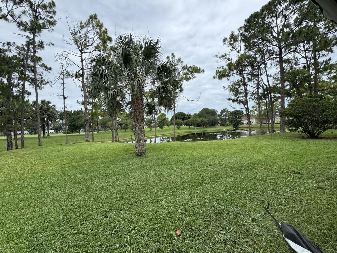 1803 Palm Beach Trace Dr - Photo 2 of 19