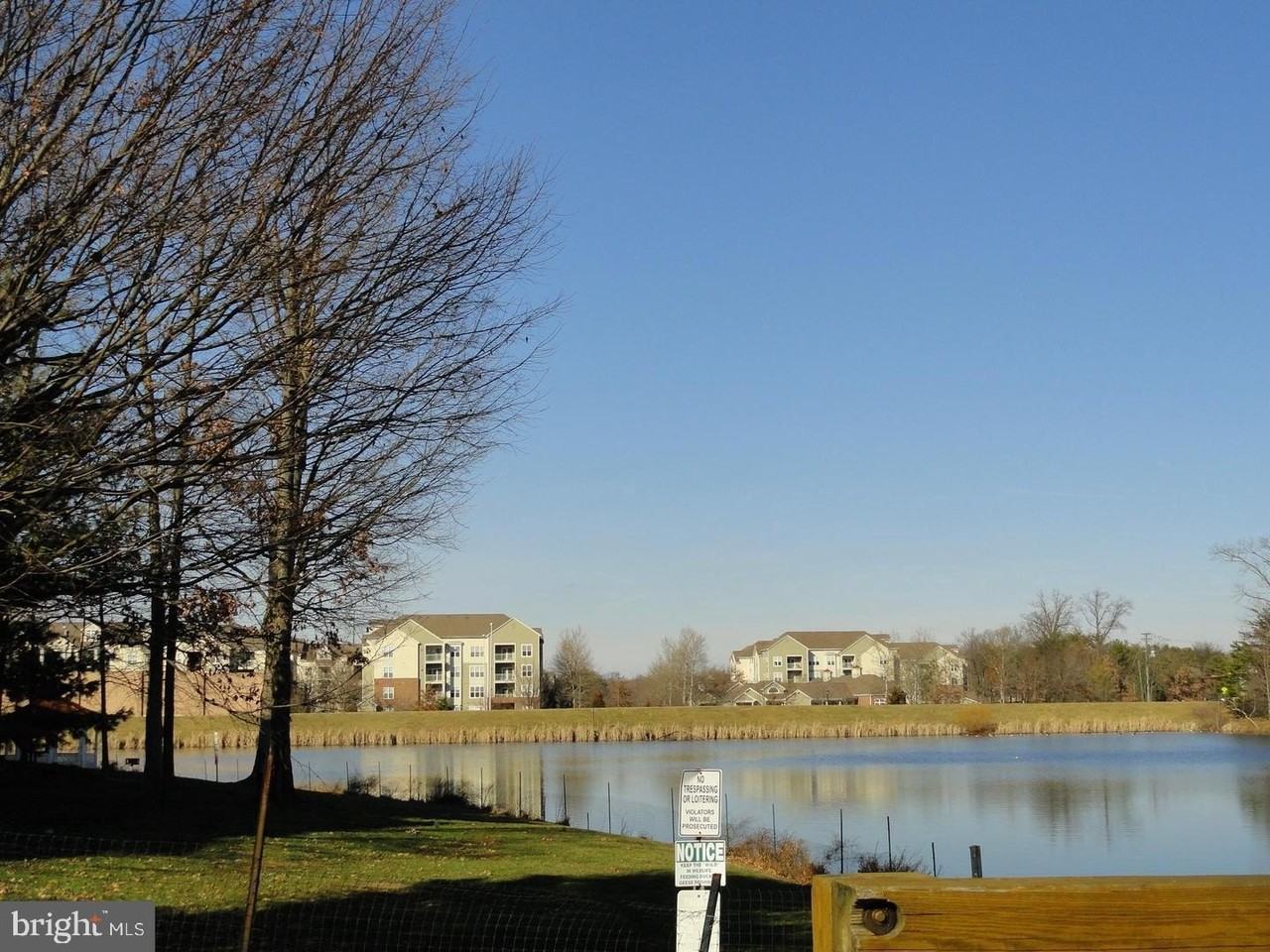 1720 Lake Shore Crest Dr #13 - Photo 2 of 3
