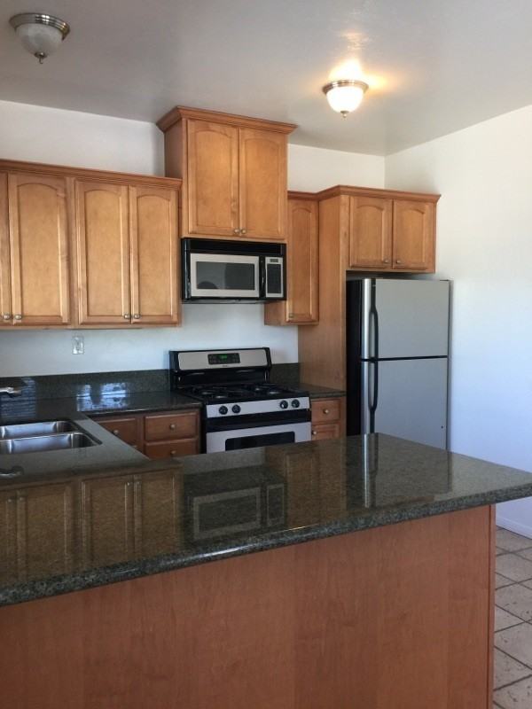 3769 Albatross St - Photo 4 of 13