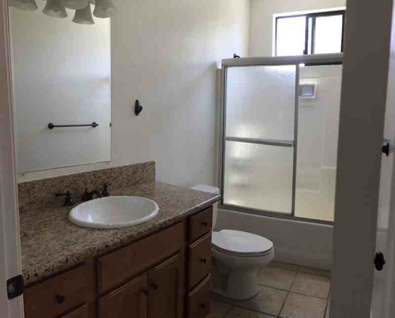 3769 Albatross St - Photo 6 of 13