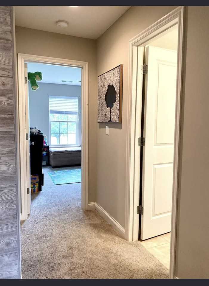 105 Snow Peak Ct - Photo 6 of 12