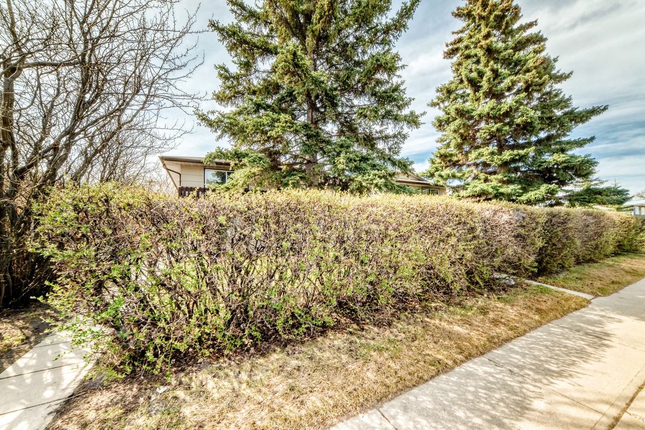 Newly Renovated 2 Bedroom, 1 Bathroom Suite (RP078) - Photo 4 of 41