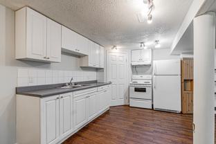Bright Spacious 1 Bedroom Lower Unit in Mayland Heights! - Photo 1 of 1